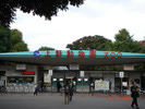 Ueno Zoo, Tokyo